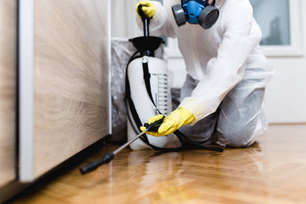 Best Pest Control Near Me in Bushnell, IL