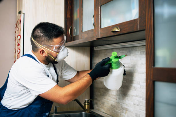Best Bed Bug Extermination  in Bushnell, IL