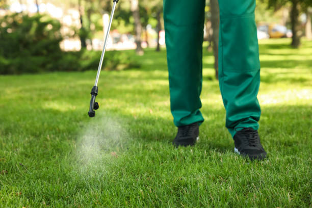 Best Cockroach Control Services  in Bushnell, IL