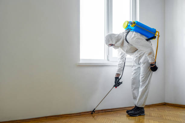 Best Pest Prevention Services  in Bushnell, IL